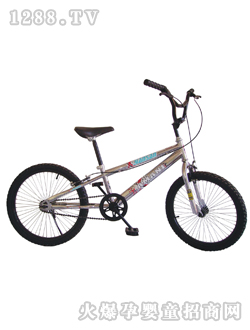 С���˱��ݳ�2007CP