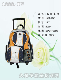 ��һ���������1651-1BW
