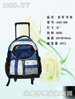 ��һ���������1645-1BW