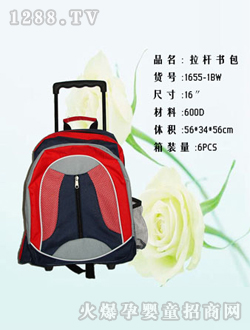 ��һ���������1655-1BW