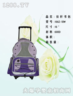 ��һ���������1662-1BW