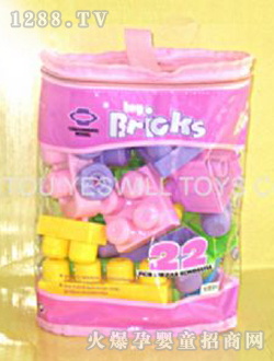 ȫʢ��ͨ��ľ22PCS