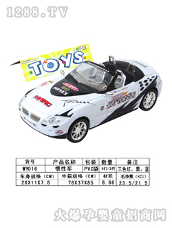 ���չ��Է��泵WY016