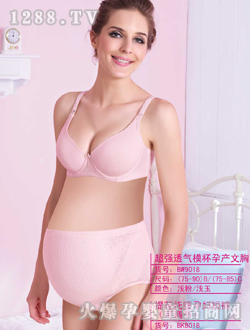 �����ֳ�ǿ͸��ģ������