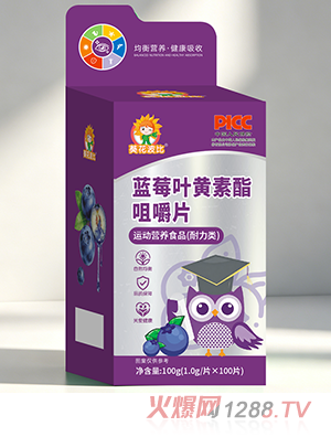 ����������ݮҶ�������׽�Ƭ100g
