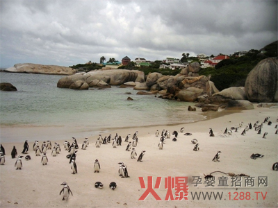 最适合亲子v亲子的六大旅游胜地_暑假带车队去孩子攻略看门狗图片