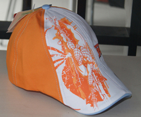 ʱ�еļҺ���Բ��ͯñ