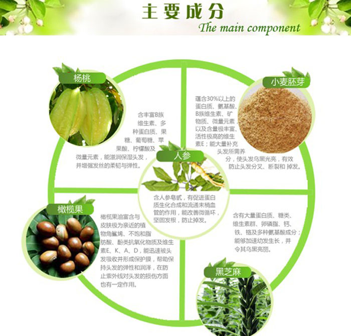 杨桃丝滑护发素 300ml 2