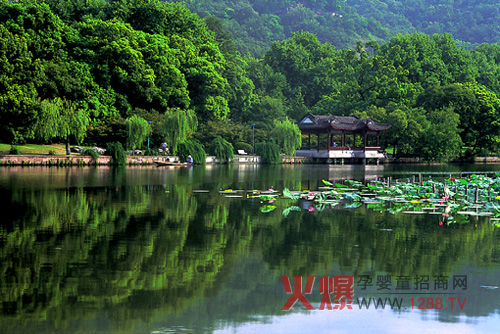 杭州西湖著名景点-孕婴童展会资讯中心|火爆孕