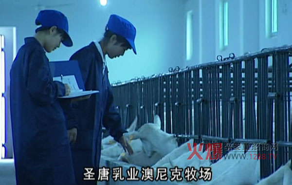 美滋羊奶粉生产基地 优质奶粉从这里开始-产品