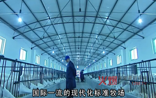 美滋羊奶粉生产基地 优质奶粉从这里开始-产品