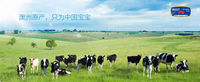 Ĵǰ˹ʳƷ޹˾