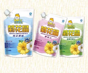 南瓜寶寶菊花晶