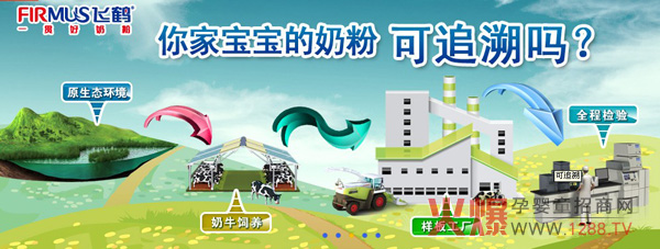 飞鹤乳业\全产业链模式\让宝宝喝上\鲜\奶粉