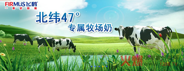 原生态牧场,飞鹤奶源的关键-热点资讯-火爆孕婴