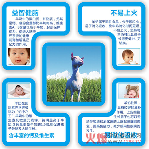 钮璀西亲护幼儿配方羊奶粉 亲和益智好奶粉-产品资讯|火爆孕婴童招商网