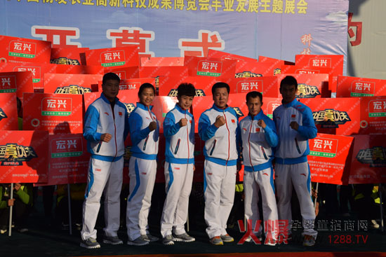 多重方案联合推广 宏兴乳业跑赢农高会-企业报