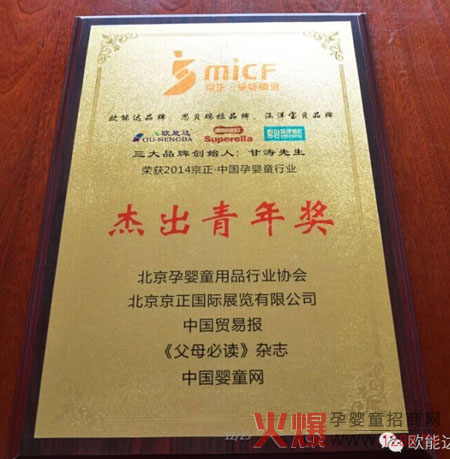 甘涛先生杰出青年奖