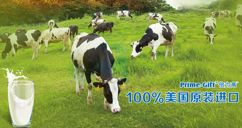 ���̲�ҳ1