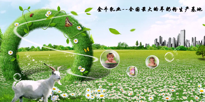 陕西金牛乳业爱羊羊部