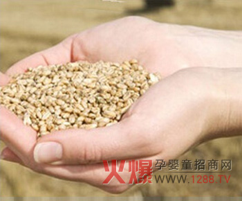 健康时光婴童辅食当季收获原料