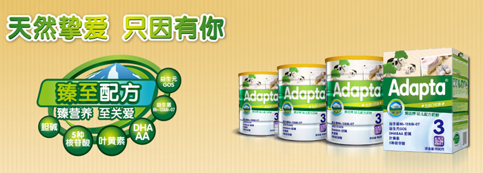 AdaptaӤ׶̷