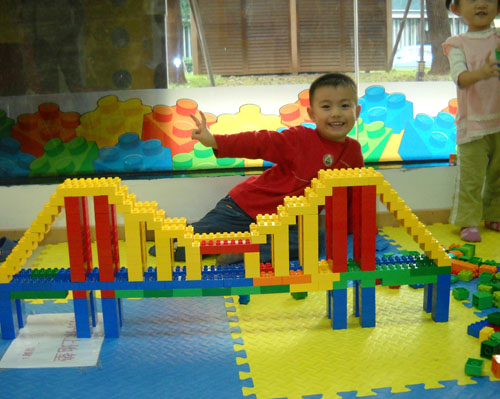 乐高丁丁桥器积木玩具-火爆孕婴童招商网