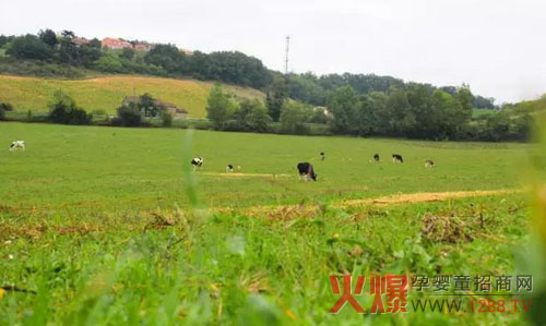 非一般的自然 见证法国爱达力自有有机牧场-企