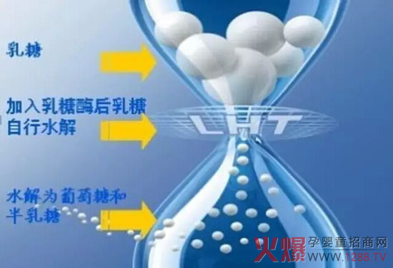 康贝尔乳糖酶之问答课堂-母婴健康|火爆孕婴童