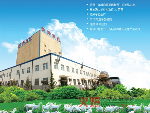 美羚羊奶粉将携手火爆网大讲堂济南站铸羊奶发展新高度