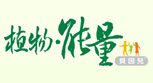 岁末年初 贝因儿洗护喜登火爆网首页深化互联