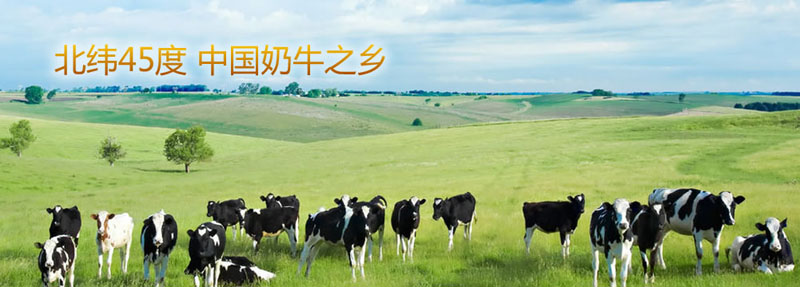 �ļ�Ӥ�׶��̷�����