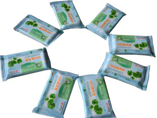 ����С���ֿ�ʪ������10Ƭװ