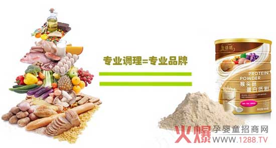 康保聪猴头菇蛋白质粉