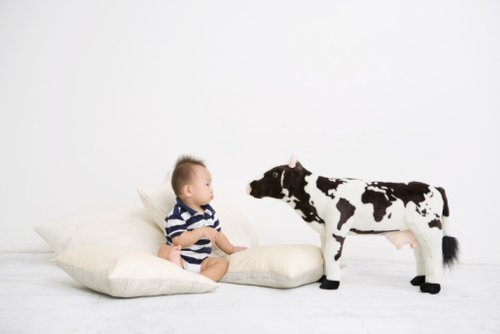 宋昆冈:国内婴儿配方奶粉质量可信-市场分析|火