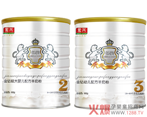 火爆婴童网大讲堂南宁站见证亿婴羊奶粉五个领