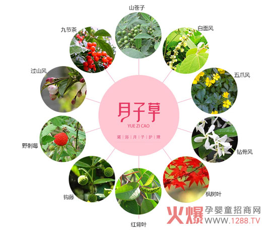 专注产妇坐月子产品 月子草上海cbme孕婴童展坐等你来