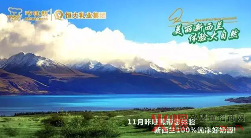 乳业咔哇熊放大招啦 开盖扫码送你去新西兰-企