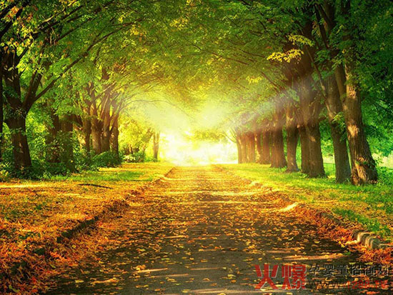 进一路成长 香港一颖从容走向美好未来-企业报