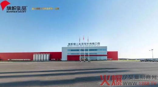 旗帜奶粉的自白书-产品资讯|火爆孕婴童招商网