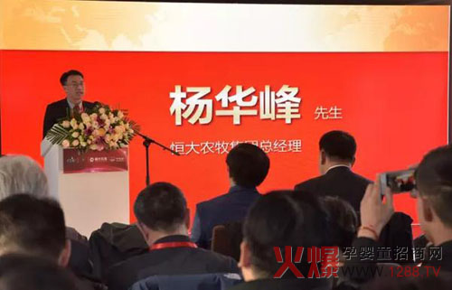 恒大农牧集团总经理杨华峰致辞