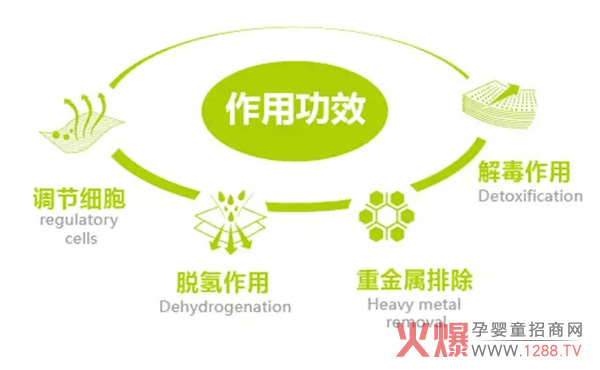 安妮娜卫生巾 五大功能为你健康护航