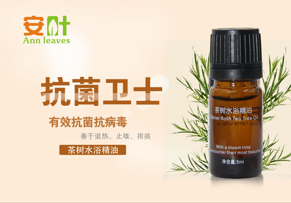安葉茶樹(shù)水浴精油  
