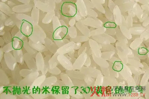 千呼万唤始出来 冠军宝贝500g米粉升级重磅登