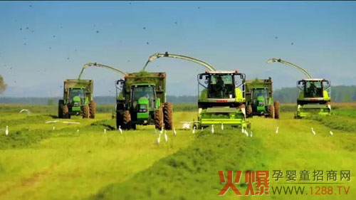 辉山牛奶炼成记:从牧场到餐桌 总共分几步?-企