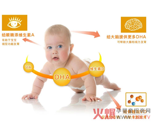 贝特晓芙藻油DHA让宝宝大脑发育更好
