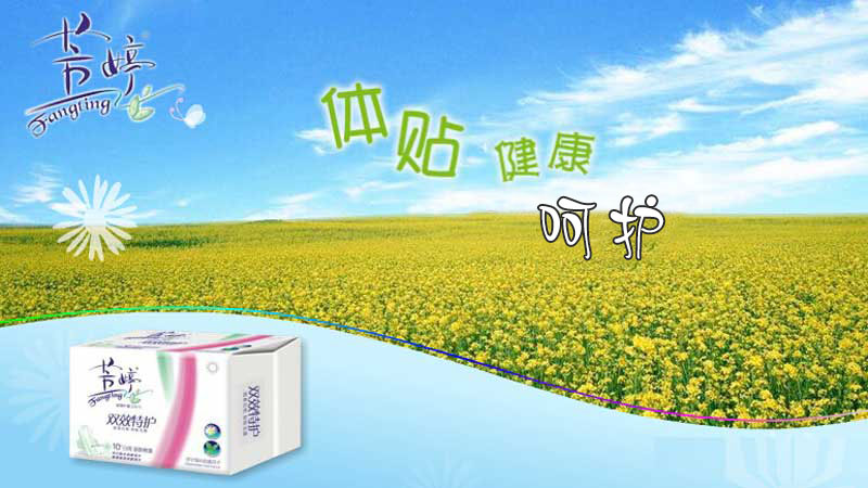 開平新寶衛(wèi)生用品有限公司