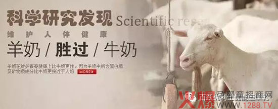 优能佳羊奶:喝羊奶粉的十大好处-母婴健康|火爆