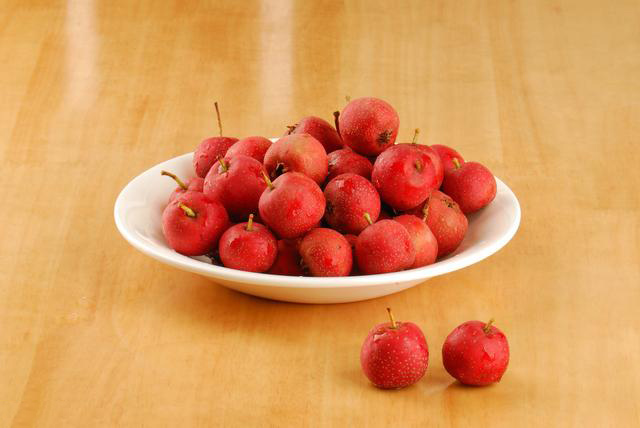 活菌一号育儿课堂:宝宝发烧是积食引起的吗?