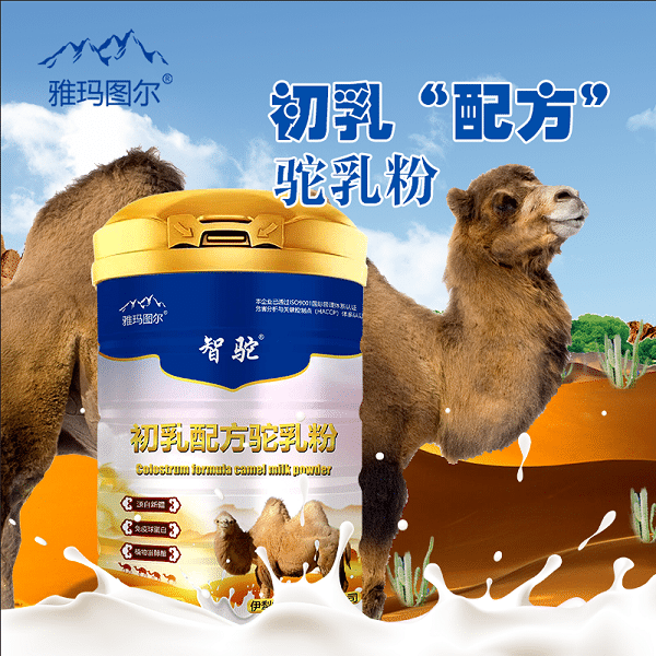 伊犁雪莲乳业智驼初乳配方驼乳粉